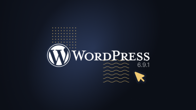 WordPress logo with version number 6.9.1 printed below it, with a cursor hovering near it.
